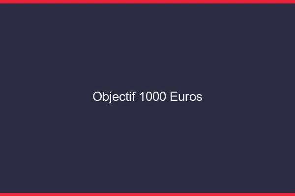Objectif 1000 euros par mois